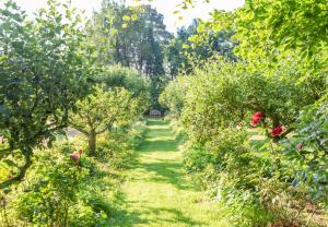 a row of apple trees in a garden at Andromeda 7 - Person Lotus Belle with 2 Tents in Ross on Wye