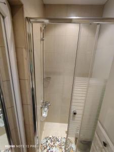 a shower with a glass door in a bathroom at Апартамент ВалАнди in Samokov