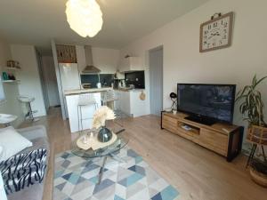 a living room with a couch and a television at Appartement design avec piscine in Digne-les-Bains