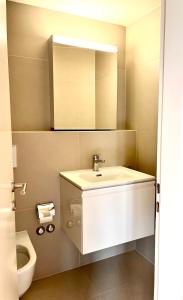 La salle de bains est pourvue d'un lavabo, de toilettes et d'un miroir. dans l'établissement Luxury Studio Near UN & Train Station, à Genève