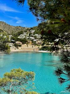 a view of a beach with blue water and trees at VH CostaBlanca - SANDRINE in Benitachell