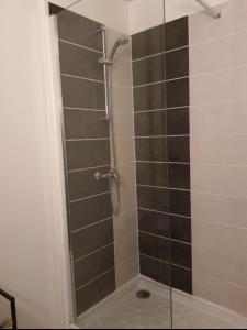 La salle de bains est pourvue d'une douche avec une porte en verre. dans l'établissement Appartement la mer, à Marseille