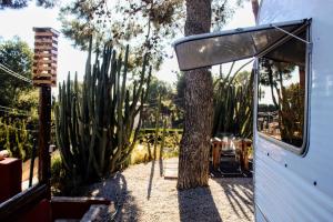 Caravana Vintage Star vistas Mar y Montaña في Náquera: إطلالة جانبية على منزل به صبار