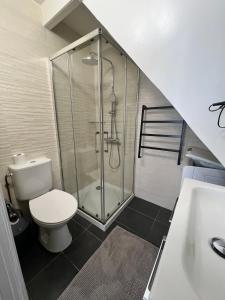 a bathroom with a shower and a toilet and a sink at LE PHARE DE LA COTINIERE - Proche port et centre ville in La Flotte