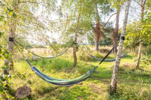 two hammocks hanging from trees in a field at Orion 4-Person Lotus Belle Tent in Ross on Wye