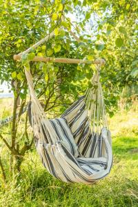a hammock hanging from a tree in a yard at Orion 4-Person Lotus Belle Tent in Ross on Wye