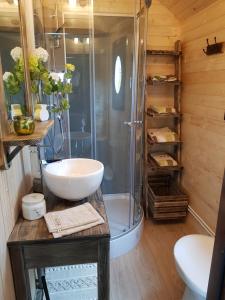 ChiroublesにあるLa roulotte de Chiroublesのバスルーム(シャワー、洗面台、トイレ付)