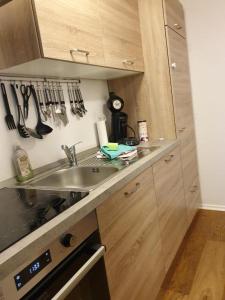 A cozinha ou cozinha compacta de Traumhaftes Apartment mit Exclusiver Ausstattung + WLAN gratis