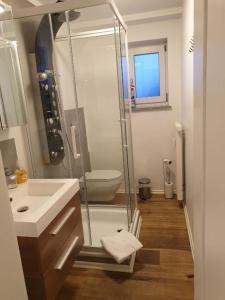 uma casa de banho com um chuveiro e um WC. em Traumhaftes Apartment mit Exclusiver Ausstattung + WLAN gratis em Schöfweg