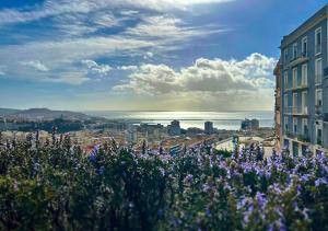 un champ de fleurs violettes devant une ville dans l'établissement Cagliari Novecento, à Cagliari
