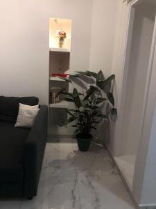 uma sala de estar com um sofá e um vaso de plantas em Athens' Heart Apartment em Atenas