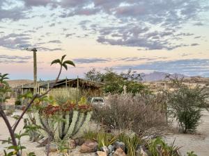 a house in the middle of a desert with plants at Daureb Isib Campsite and B&B in Uis