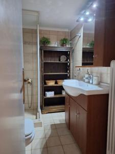 a bathroom with a sink and a toilet and a shower at Cozy apartment next to metro station in Athens