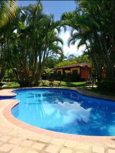 a large blue pool with palm trees and a house at Alojamiento rural finca estrella del Quindío in Montenegro