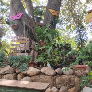 un albero con piante e una panchina in un giardino di Sítio Estrela da Manhã a Palmeiras
