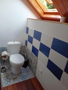 uma casa de banho com um WC com azulejos azuis e brancos em Chambres d hôtes entrée+sanitaires indépendantes em Thorigné-sur-Dué
