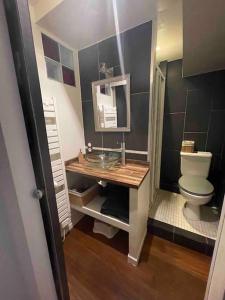 een badkamer met een wastafel en een toilet bij charmante cave voûtée 4 personnes in Saint-Jean-de-Fos