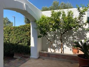 een witte muur met een boom op een binnenplaats bij Porto Cesareo - Appartamento località Torre Lapillo - Orione C10 in Torre Lapillo