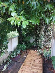 una pasarela de madera bajo un gran árbol con hojas en T2 lumineux avec jardinet - Barbotan les Thermes, en Barbotan-les-Thermes