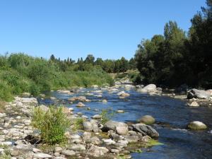a river with rocks and trees on the side at Superbe appartement classé 4 étoiles - le Boulou in Le Boulou