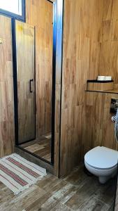 La salle de bains est pourvue de toilettes et d'une douche en verre. dans l'établissement Superbe appartement classé 4 étoiles - le Boulou, au Boulou