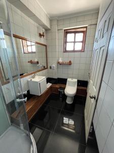 łazienka z toaletą i umywalką w obiekcie Hotel Sueños del Volcan w mieście Villarrica