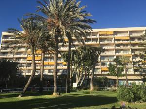 un gran edificio con palmeras delante en Lovely Newparadise, en Torremolinos