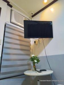 a television on top of a table with a plant on it at Parayno's Residence in Marikina 1 in Manila