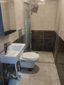 een badkamer met een toilet, een wastafel en een douche bij Mr Lion Kumkapı Otel in Istanbul