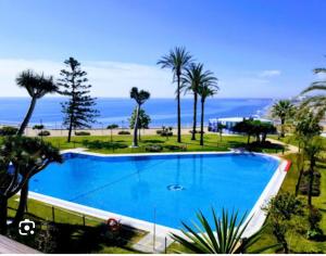 una gran piscina con palmeras y el océano en Lovely Newparadise en Torremolinos