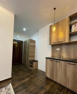 ペヤにあるStudio Apartment in the heart of the city Pejaの木製のキャビネットとシンクを備えたキッチン