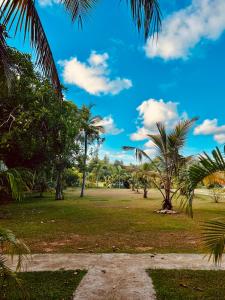 a park with palm trees and a pathway at Happy Man Village in Bentota