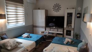 Televízia a/alebo spoločenská miestnosť v ubytovaní Holiday home Anima Mea, Zadar