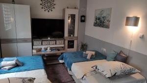 een kamer met 2 bedden en een televisie. bij Holiday home Anima Mea, Zadar in Zadar