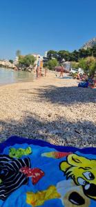 Hrvatska, DRAŠNICE, Apartman Marta Giana