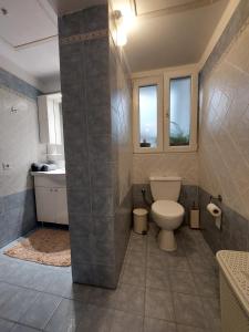 a bathroom with a toilet and a sink at Despo's Apartment in Volos