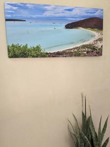 ein Bild eines Strandes und einer Pflanze an der Wand in der Unterkunft Estudio Balandra cerca del aeropuerto SJD in San José del Cabo