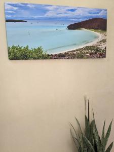 a picture of a beach and a plant on a wall at Estudio Balandra cerca del aeropuerto SJD in San José del Cabo