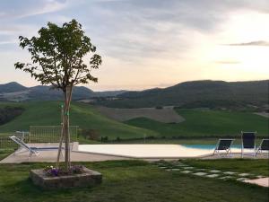 un albero e due sedie sedute accanto alla piscina di Borgo del Silenzio - Apartments with pool in Lajatico a Laiatico