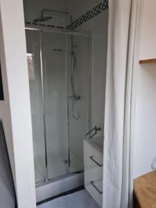 uma casa de banho com um chuveiro e uma cortina de chuveiro em Bel appartement 3 suites privatives hyper centre em Tourcoing