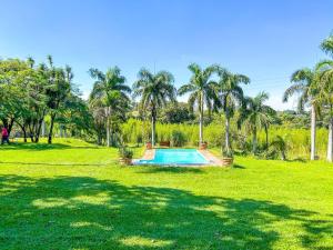 uma piscina num campo com palmeiras em Chácara 2 com Wi-Fi e churrasqueira em Holambra SP em Holambra