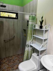 een badkamer met een toilet, een wastafel en een douche bij Casa Colibrí in Tilarán