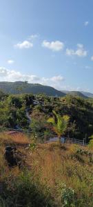 a view of a field with a palm tree on a hill at Casa Blanca 