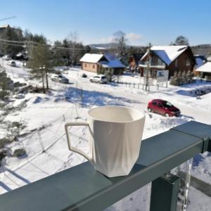 Leona C2 Apartment - Divčibare trong mùa đông