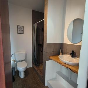 La salle de bains est pourvue de toilettes, d'un lavabo et d'un miroir. dans l'établissement GuestHouse Maison Standard, à Kula