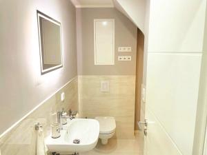 a bathroom with a sink and a toilet and a mirror at Davidoff-Apartment in Seelze