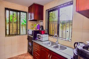 una cucina con lavandino e forno a microonde di NoorVilla ad Arusha
