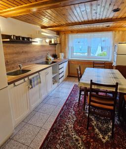 a kitchen with a table and chairs and a sink at Ubytování Na Výsluní Tanvald in Tanvald