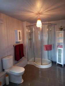 ein Bad mit einem WC und einer Dusche in der Unterkunft The Boathouse in Longmorn
