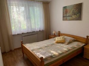 a bedroom with a large bed with a window at Agroturystyka Kalwiszki in Sejny